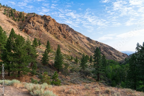 Rocky hillside with green vegetation. Hunter Creek Trail, Reno, Nevada, USA.