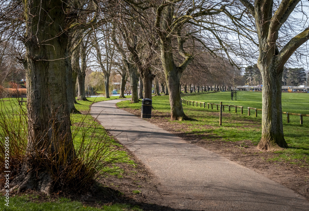 Avenue of trees, Evesham, Worcestershire, UK