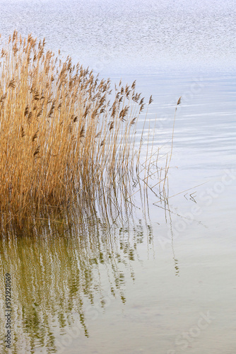 Halbinsel Mönchgut, Rügen