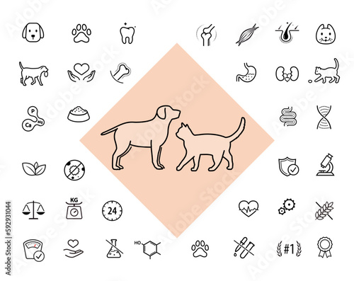 A set of icons for animals. The outline icons are well scalable and editable. Contrasting elements are good for different backgrounds. EPS10.	
