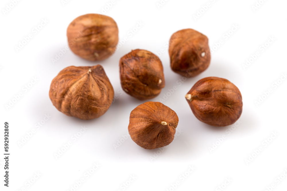 Hazelnuts on the white background Hazelnuts on the white background