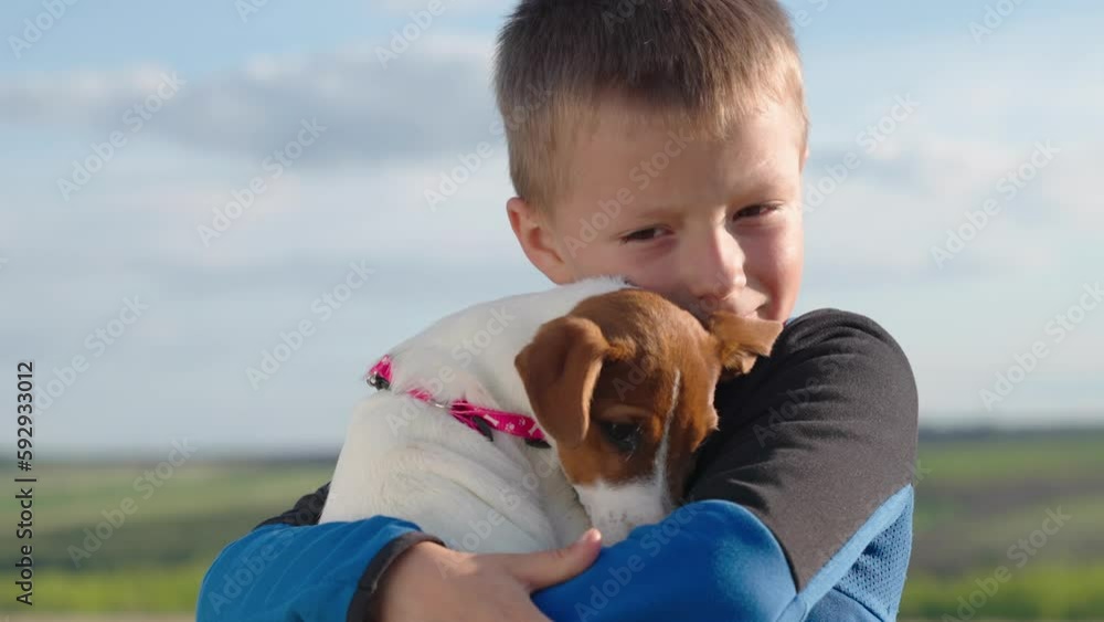 Dog licks boy child. Boy takes care of puppy, stroke dog with his hand