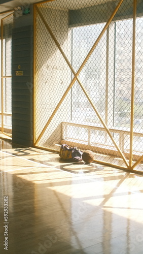 Basketball in sunshine. photo