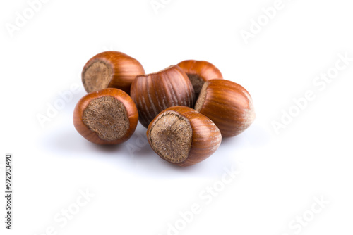 Hazelnuts on white