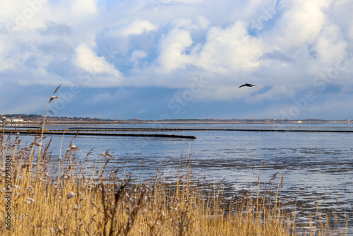 Snow Landscape on the island Sylt in Keitum  Germany