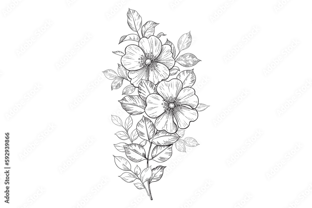 flowers spring art design graphics Vector line art monochrome elegant floral composition in vintage style, tattoo design, coloring page, wedding decoration