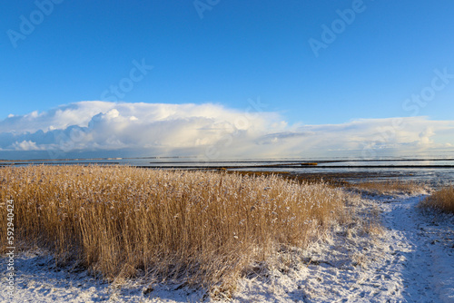 Snow Landscape on the island Sylt in Keitum  Germany