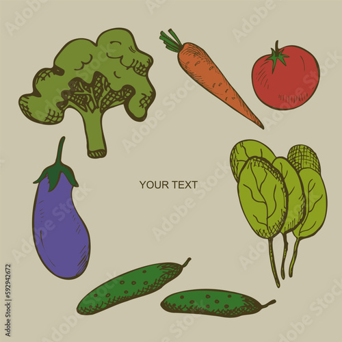 Set with vegetables. Illustration with drawn tomato, lettuce, broccoli, carrots, cucumbers, eggplant. Healthy food, groceries, market. Background for poster, banner, flyer. Flat vector illustration