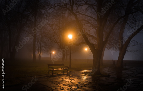 Bench in a park with street lights during fog