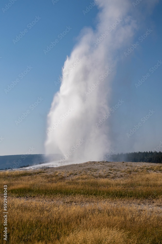 Vertical shot of the Old Faithful geyser erupting under a blue sky in Wyoming, United States.
