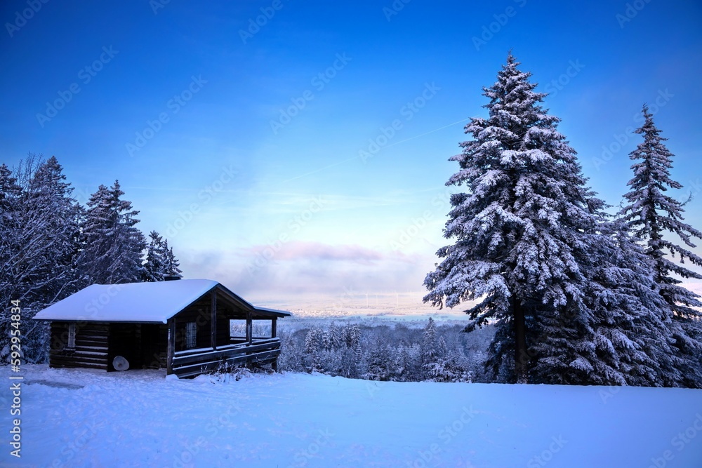 Beautiful winter landscape of a small wooden house surrounded by pine trees Beautiful winter landscape of a small wooden house surrounded by pine trees