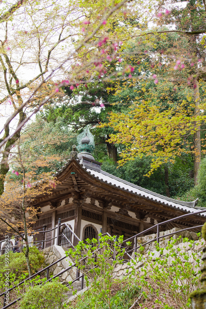奈良長谷寺の春景色