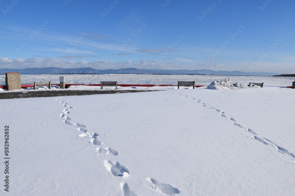 Fototapeta premium The wharf in winter, Montmagny, Québec, Canada