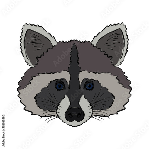 muzzle of a raccoon, black ragged outline
