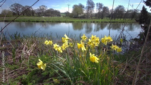 River Avon at Upper Woodford - Wiltshire, United Kingdom photo