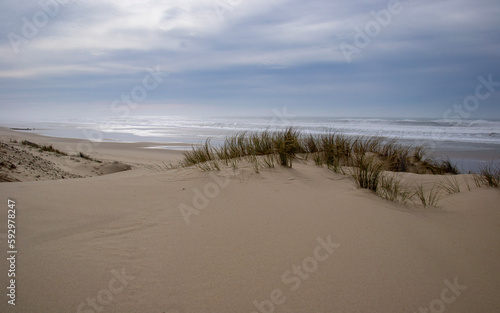 Sand dune on the ocean coastline