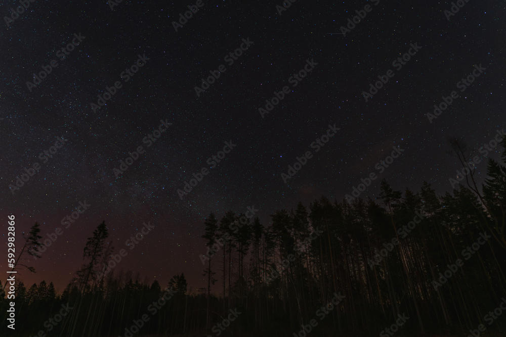 Night scene, starry sky in the Estonian forest.