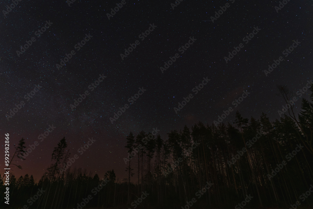 Night scene, starry sky in the Estonian forest. Night scene, starry sky in the Estonian forest.
