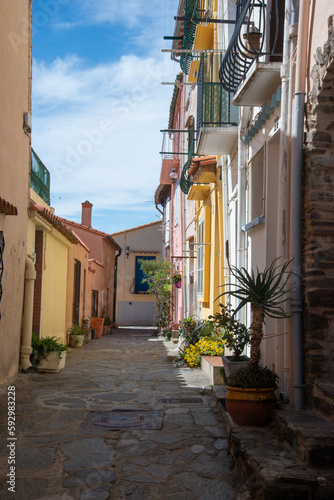 Fototapeta Naklejka Na Ścianę i Meble -  une ruelle colorée à Collioure avec des plantes en pot