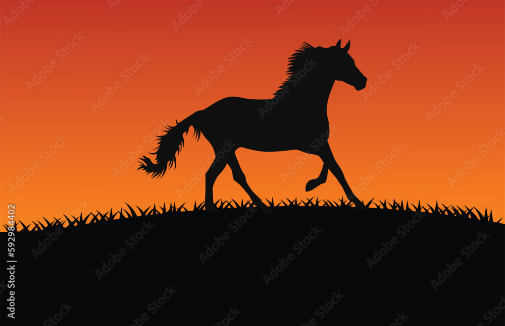 silhouette of horse silhouette of horse