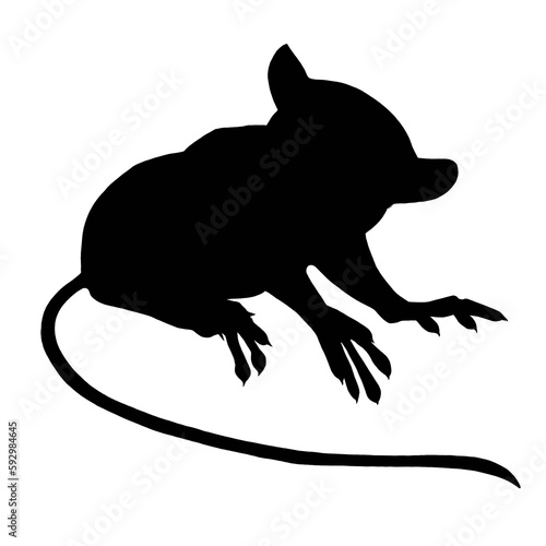 Silhouette of a little tarsier isolated on white background 