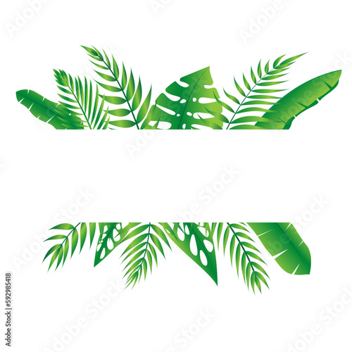 Vector floral frame Forest fern tropical leaf folliage