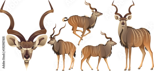 Big kudu african antelope realistic illustration rare animal