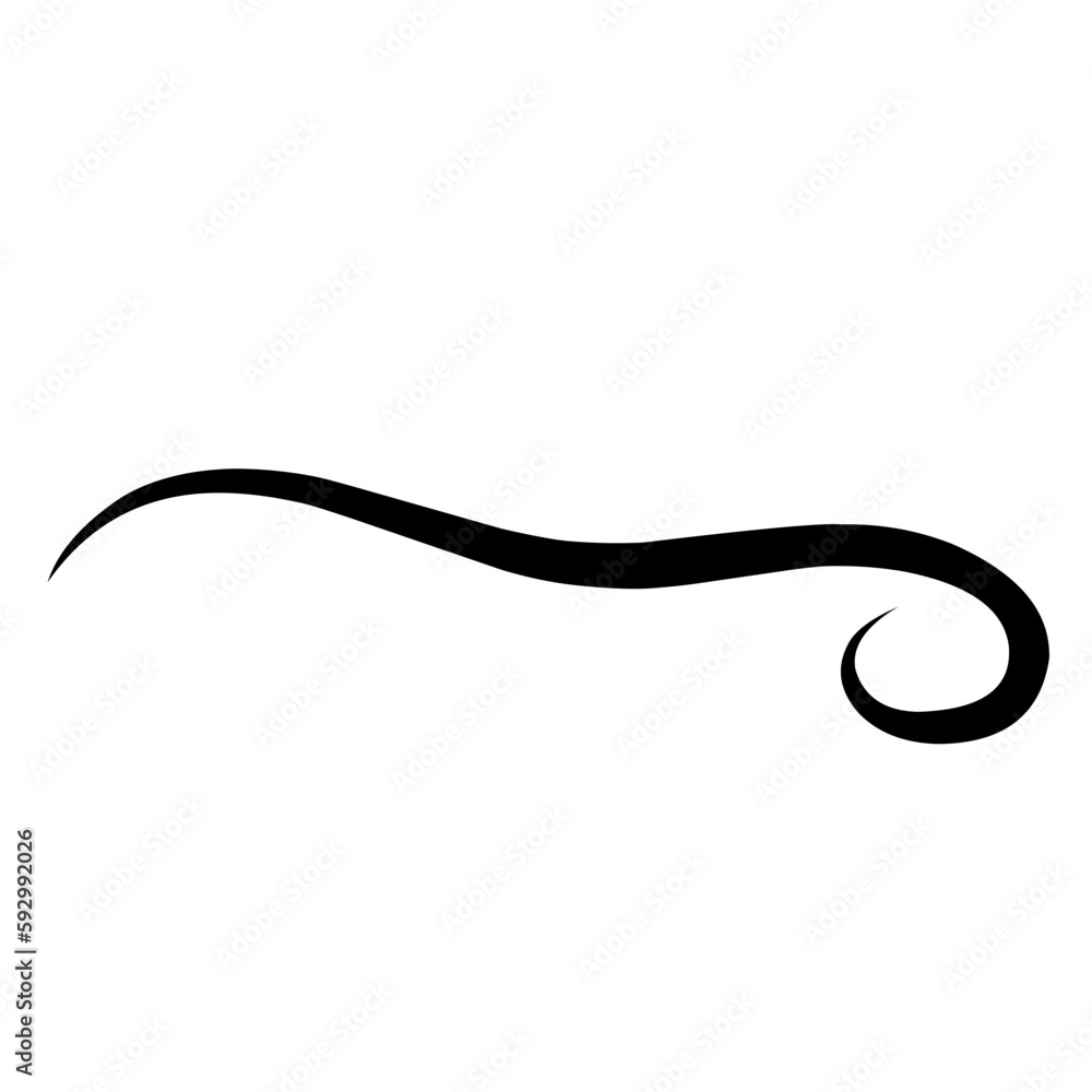 Swirl stroke ornament. Ornamental curls, swirls dividers and filigree ornament vector illustration Swirl stroke ornament. Ornamental curls, swirls dividers and filigree ornament vector illustration