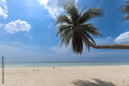 Fototapeta Naklejka Na Ścianę i Meble -  Coconut palm tree on beautiful white sandy beach and cloudy blue sky, nice sea view tropical landscape summer beach, relaxation holiday vacation at paradise island.