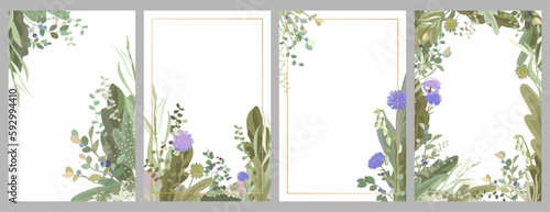 collection of vector floral frames from wild berries, flowers and herbs