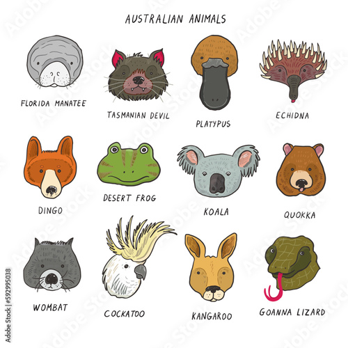 Arctic animals funny faces vector illustrations set.