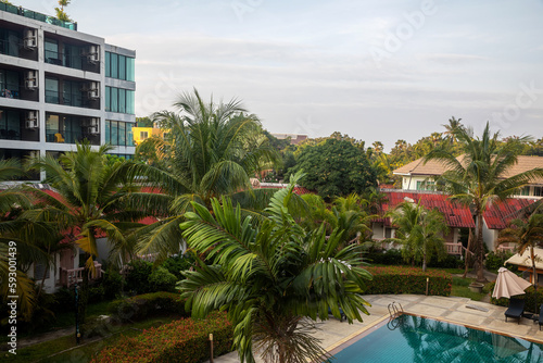 Green palm trees in the courtyard of the house. Green coconut hazelnuts on palm trees. Beautiful buildings. © Kooper