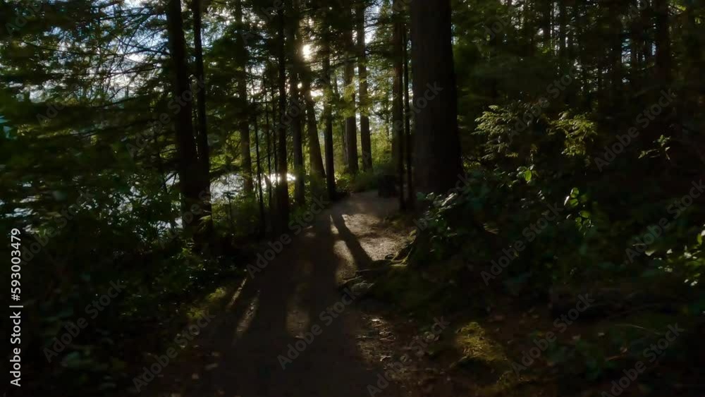 Scenic Hiking Trail in the woods during Sunny Evening at Sasamat Lake, Canadian Nature. Located in Port Moody, Vancouver, BC, Canada. Scenic Hiking Trail in the woods during Sunny Evening at Sasamat Lake, Canadian Nature. Located in Port Moody, Vancouver, BC, Canada.