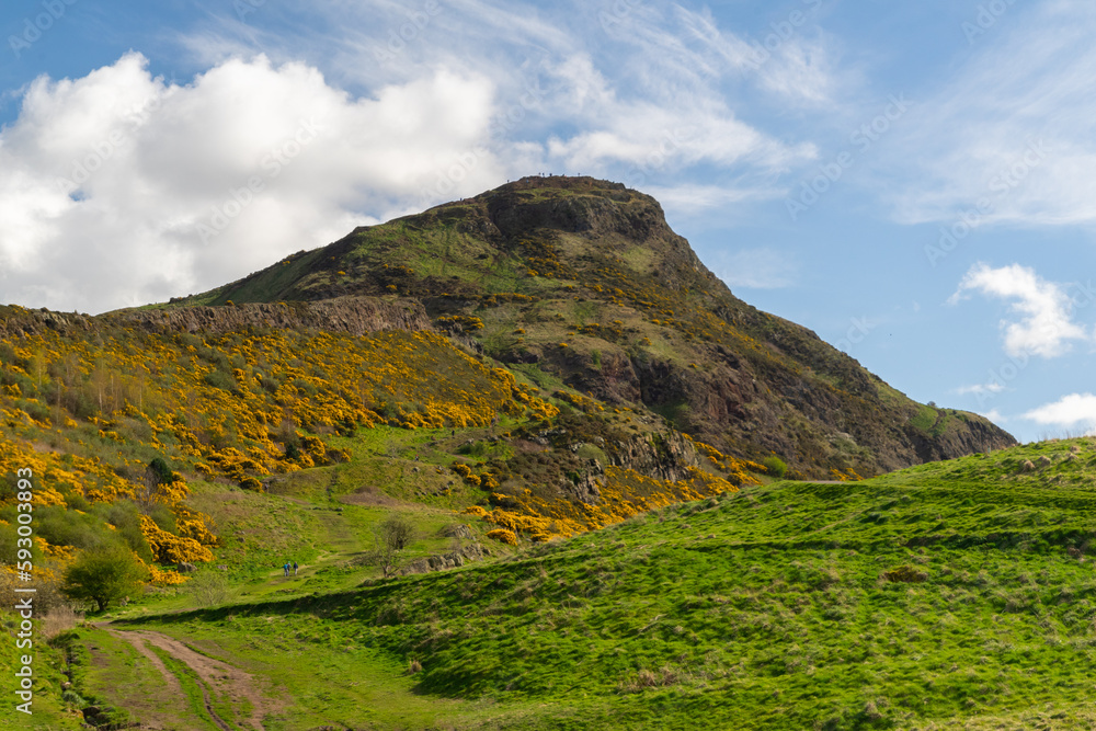 Fototapeta premium Arthur Seat, Edinburgh, Scotland. The extinct volcano at Salisbury crags dominates the city skyline