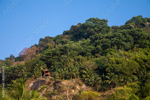 Beautiful green jungle on the mountain. Blue sky. Colorful nature of thailand. Paradise place.