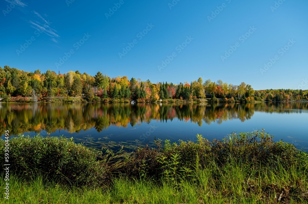 Autumn trees reflecting on lac Fairburn, Quebec