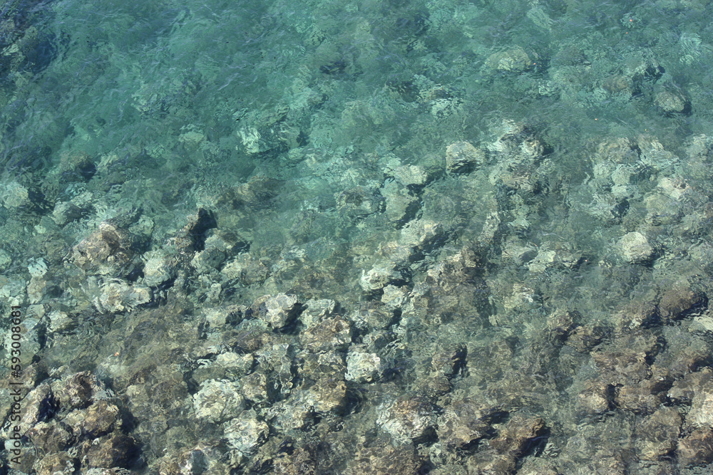 seabed view from above