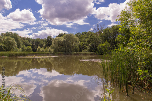 Angelteich bei Seesen, Landkreis Goslar/Harz, Niedersachsen photo