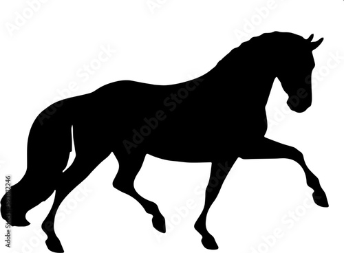 horse silhouette vector