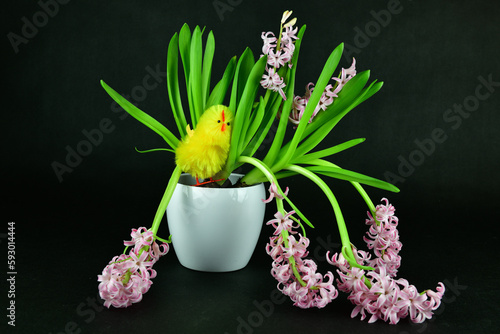 The beautiful pink hyacinth with an Easter chick in the white pot.Focused on the chick.