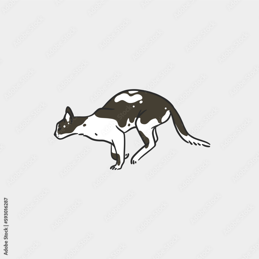 Obraz premium Hand drawn vector abstract graphic line art collection with adorable cute funny cartoon cat character.Vector illustration of funny cartoon pretty cat in trendy flat style. Line art cat icon design.