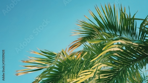 Summer beach background of tropical island with palm trees. Generative Ai © MdMaruf