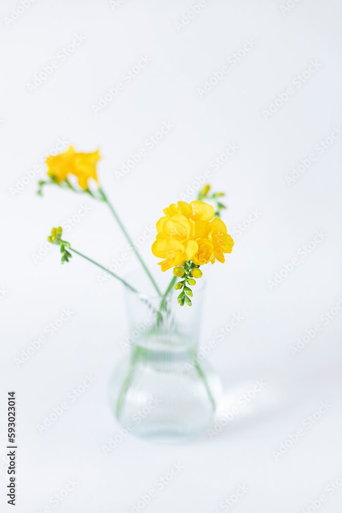 Yellow freesia flowers in a glass vase on the white background. Selective focus. Close up Yellow freesia flowers in a glass vase on the white background. Selective focus. Close up