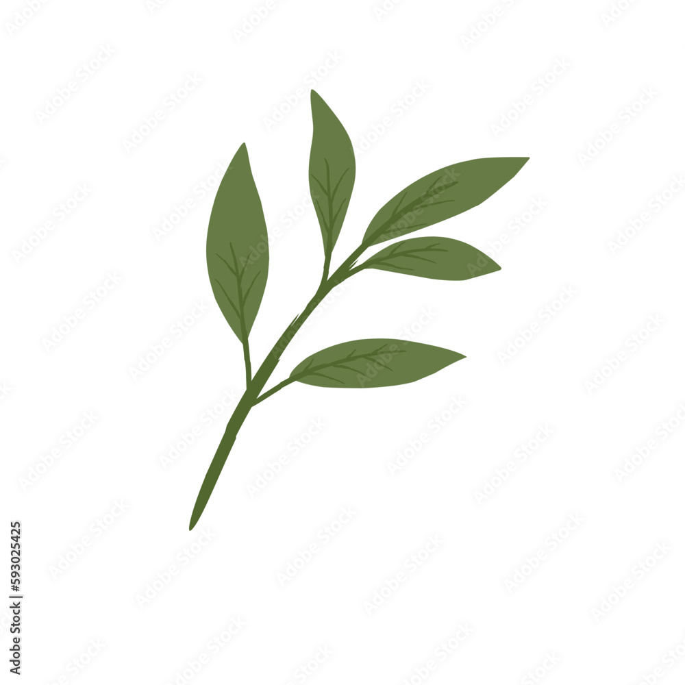 Fototapeta premium Leaves Illustration