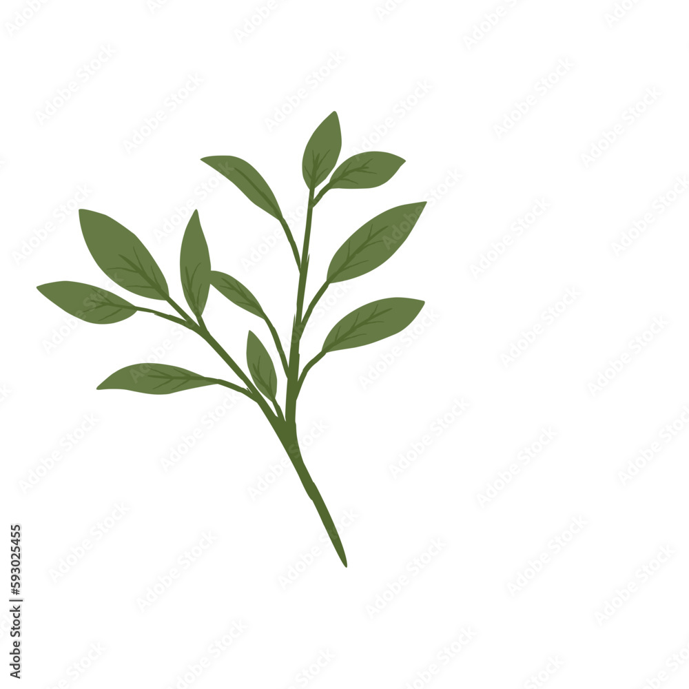 Fototapeta premium Leaves Illustration