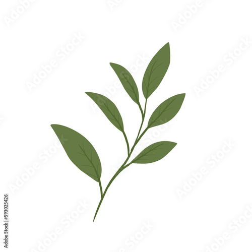 Leaves Illustration 