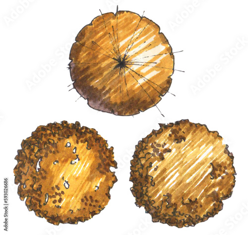 Set of trees, top view, hand drawn using markers