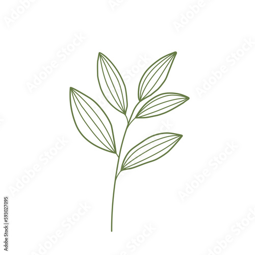 Leaf Lineart 