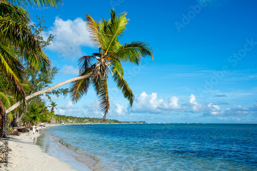 Fototapeta Naklejka Na Ścianę i Meble -  Dominican Republic Punta Cana, beautiful Caribbean sea coast with turquoise water and palm trees