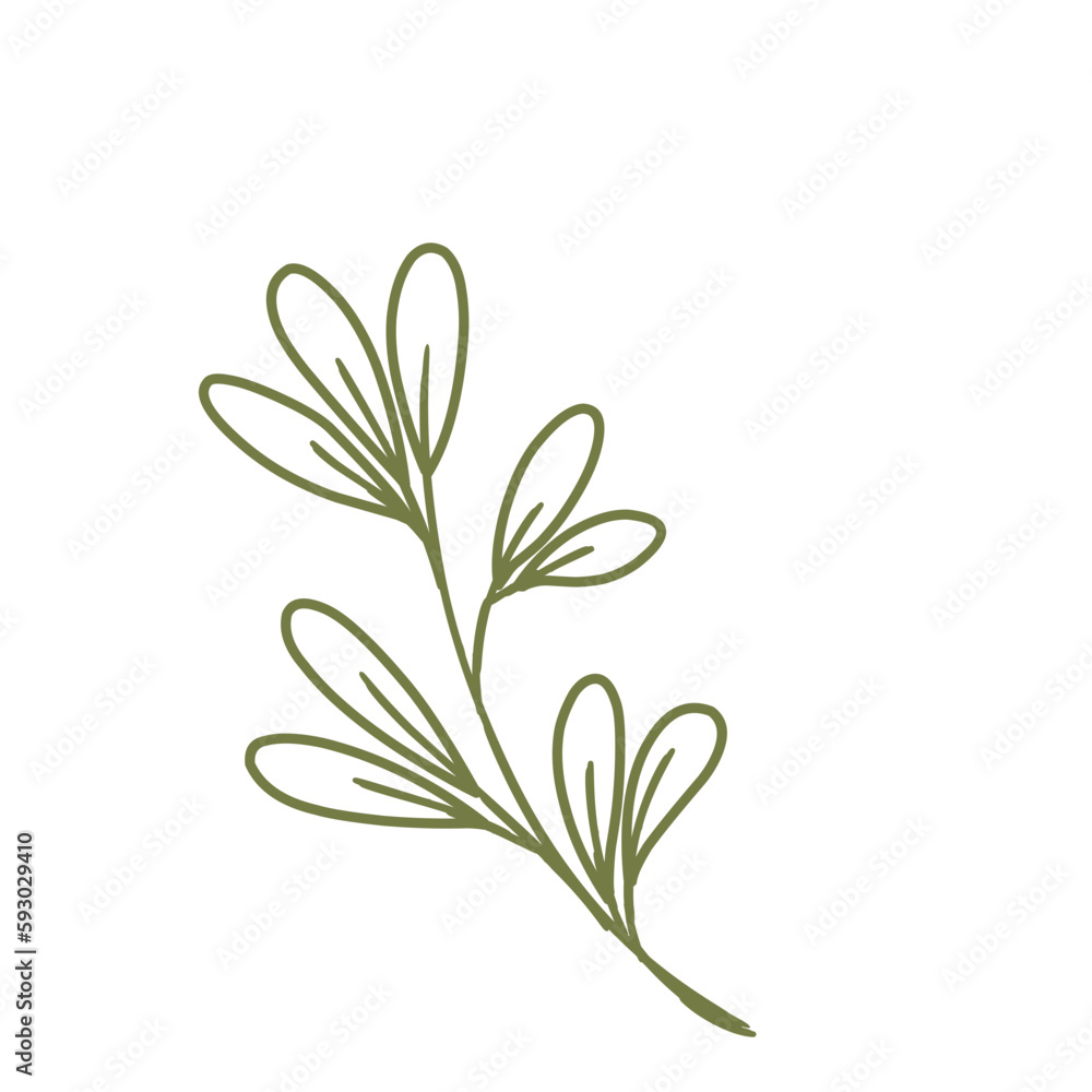 Fototapeta premium Leaf Lineart 